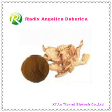 Alta Qualidade Natural Extrato Vegetal Radix Angelica Dahurica Pó